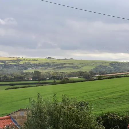 Maypole 度假居 惠特比